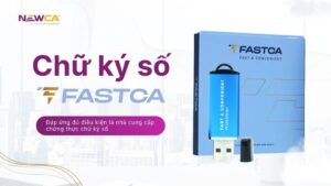 Read more about the article BẢNG GIÁ CKS FAST-NEWCA